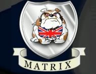Matrix Innovation
