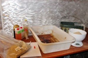 H2O Birdfood Rot im Test