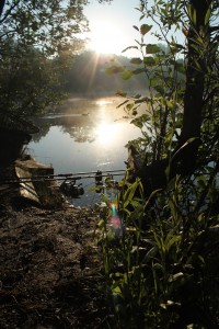 "im Osten geht die Sonne auf, im Süden ist ihr Mittagslauf, im Westen wird sie untergehen, im Norden ist sie nie zu sehen." - Wer mitdenkt und die wärmeren Bereiche des Gewässers aufsucht, ist im Frühjahr klar im Vorteil.. Immer das Gesicht zur Sonne...