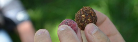Ummantelte Boilies vom Boiliemacher Successful Baits